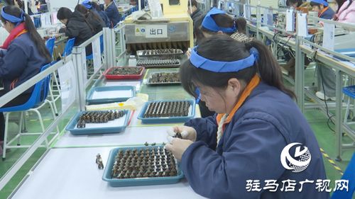 泌陽銘普電子 以科技為引擎，沖刺首季開門紅，引領通信技術新浪潮